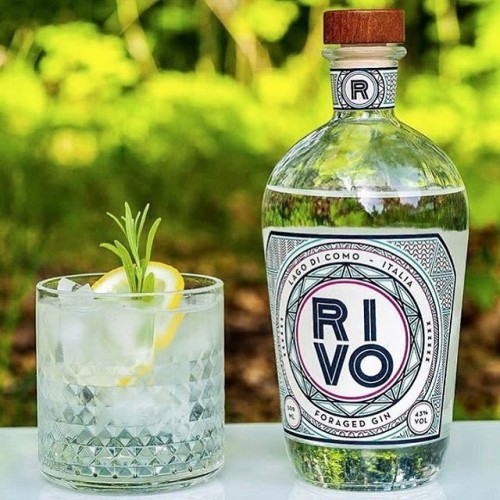 Rivo Acheter Foraged Gin (50 cl) en ligne |