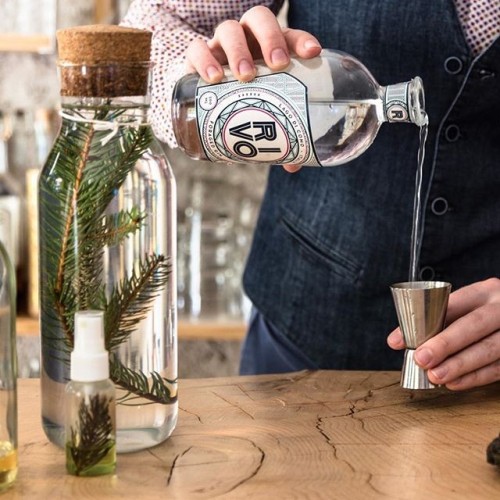 Rivo Buy Foraged Gin (50 cl) online |