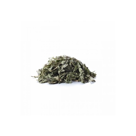 Sirocco Buy Verbena tea bags (20 bags) online | Kitchencorner