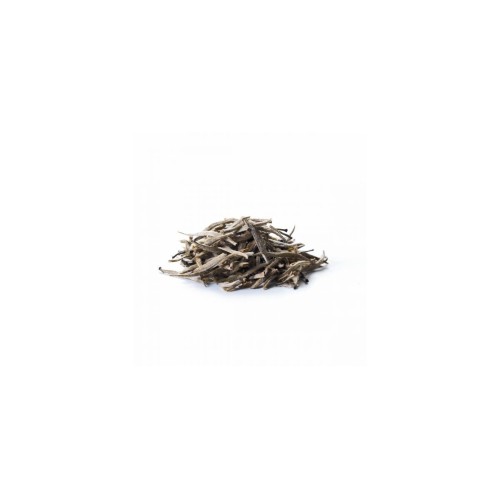 Sirocco White Silver Needle (20 Beutel) online kaufen | Kitchencorner