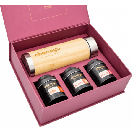 chanoyu Bio Ice Tea Set Summer Time Box (4-teilig) kaufen | Kitchencorner