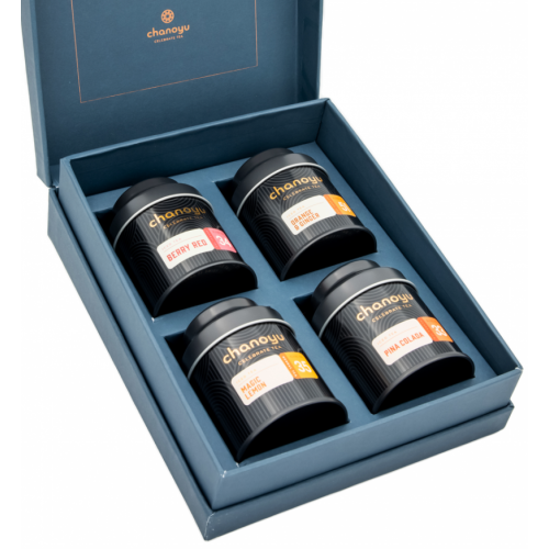 chanoyu Bio Ice Tea Set Summer Vibes Box (4-teilig) kaufen | Kitchencorner