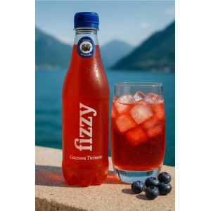 copy of Fizzy Gazzose Ticinesi Mandarino (6x460ml) 2