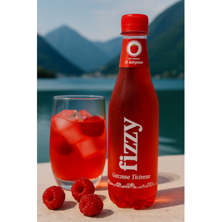 Fizzy Gazzose Ticinesi Framboise (6x460ml)